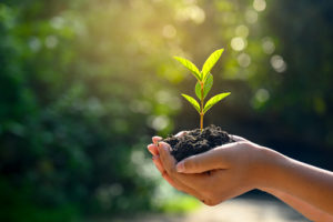 Marché des jardiniers viducasses dimanche 22 septembre 2024