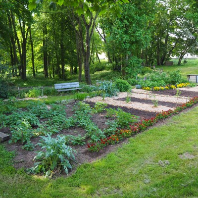 Jardin potager bien entretenu avec des rangées de légumes et des fleurs, situé dans un cadre verdoyant de Feuguerolles-Bully.