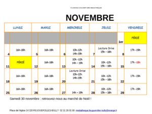 Calendrier des horaires d'ouverture de la médiathèque pour novembre, avec jours fériés et événements spéciaux.